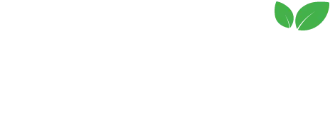 Ready Food